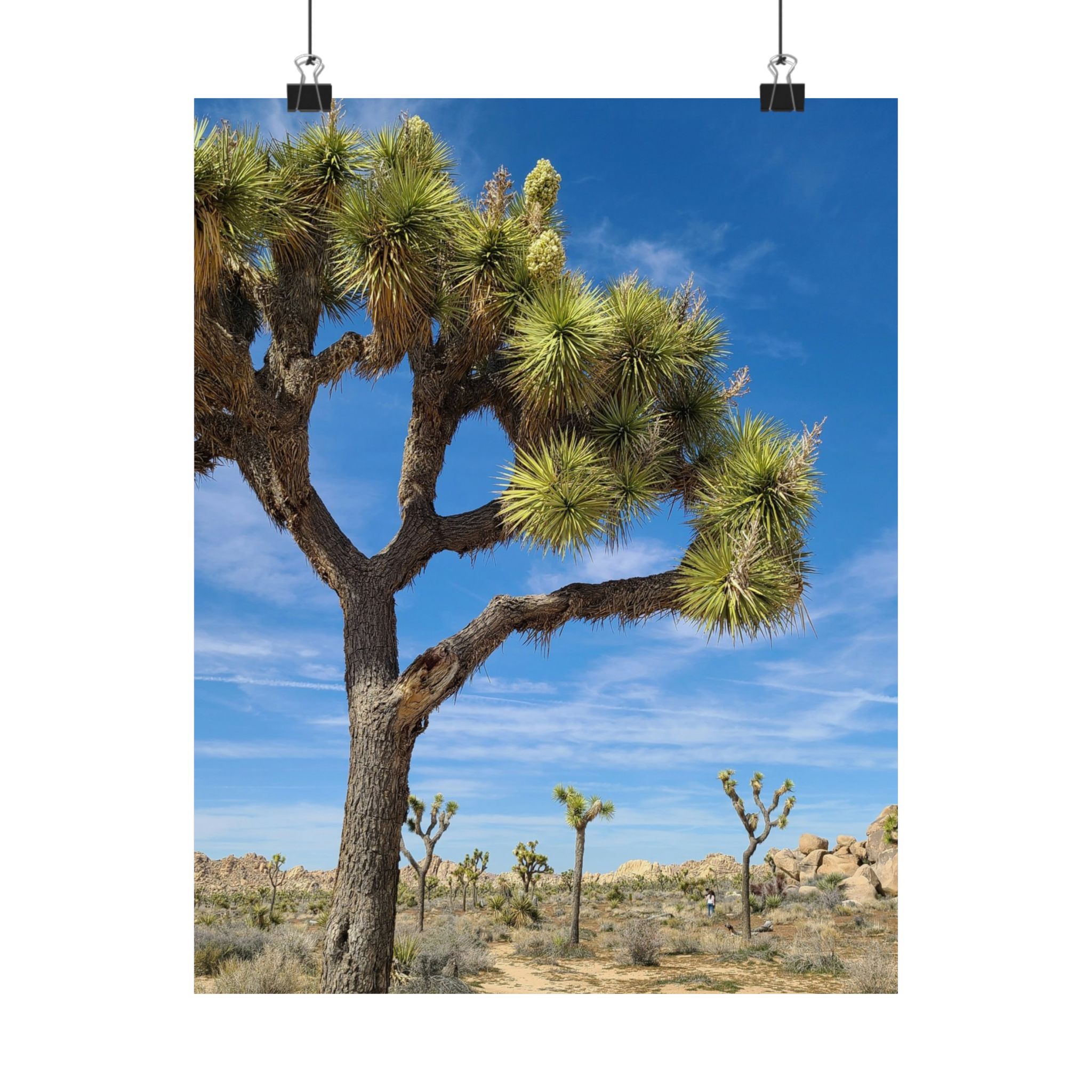Desert Joshua Matte Vertical Poster - Southwest-Natural Landscape - Image 5