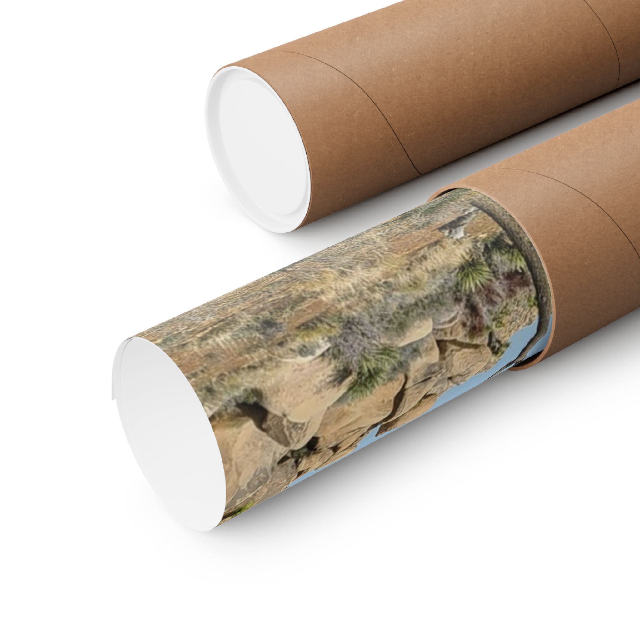 Desert Joshua Matte Vertical Poster - Southwest-Natural Landscape - Image 23