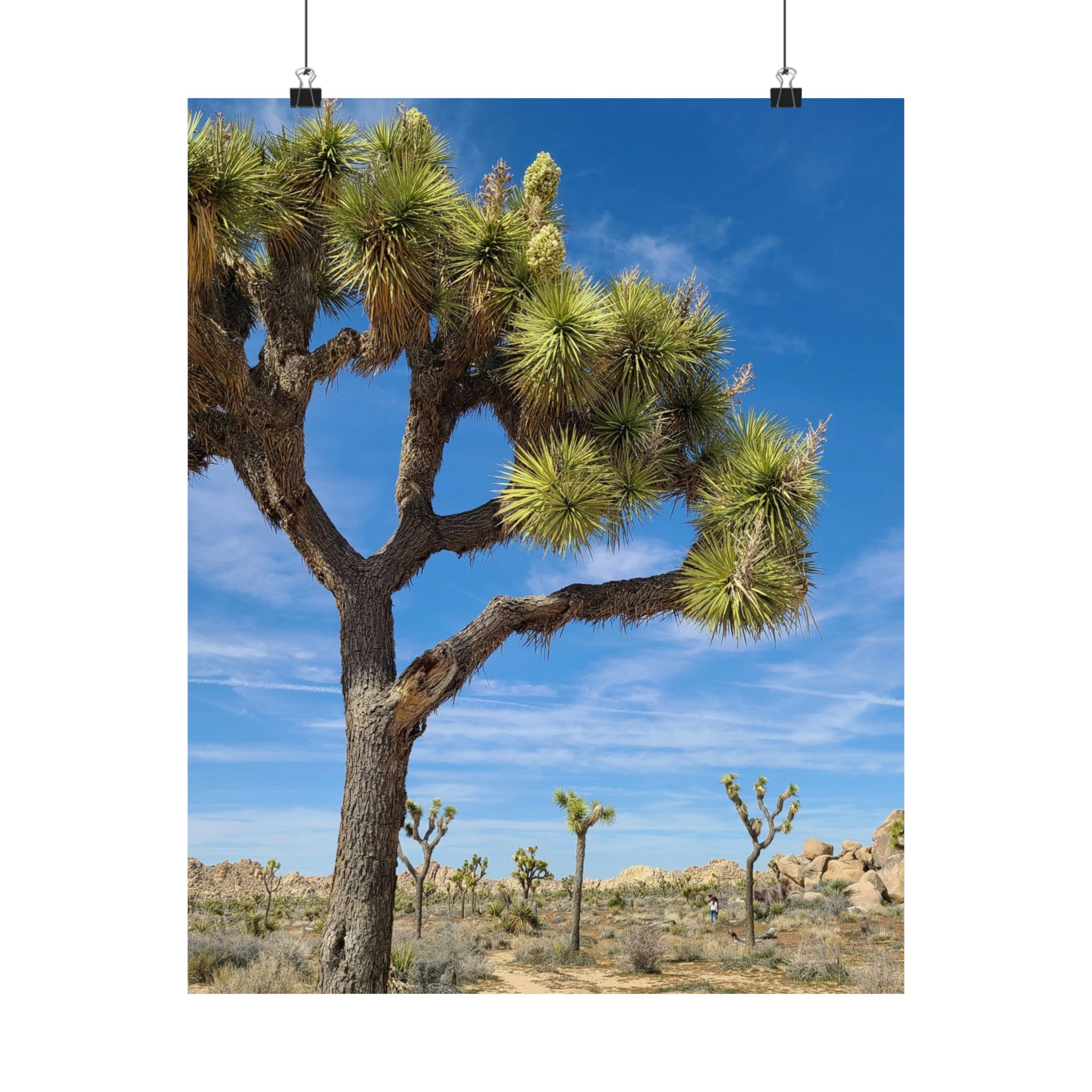 Desert Joshua Matte Vertical Poster - Southwest-Natural Landscape - Image 13