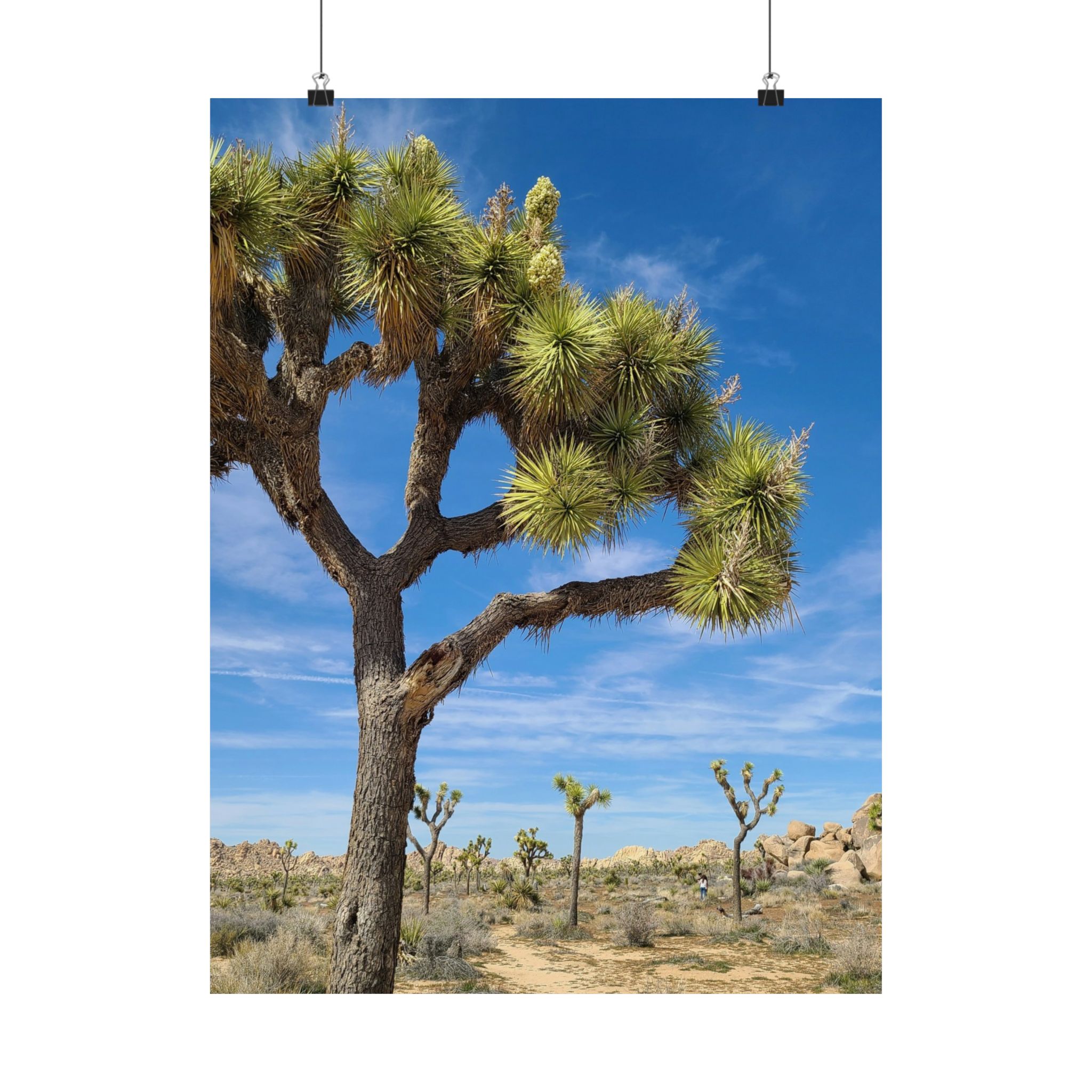 Desert Joshua Matte Vertical Poster - Southwest-Natural Landscape - Image 17
