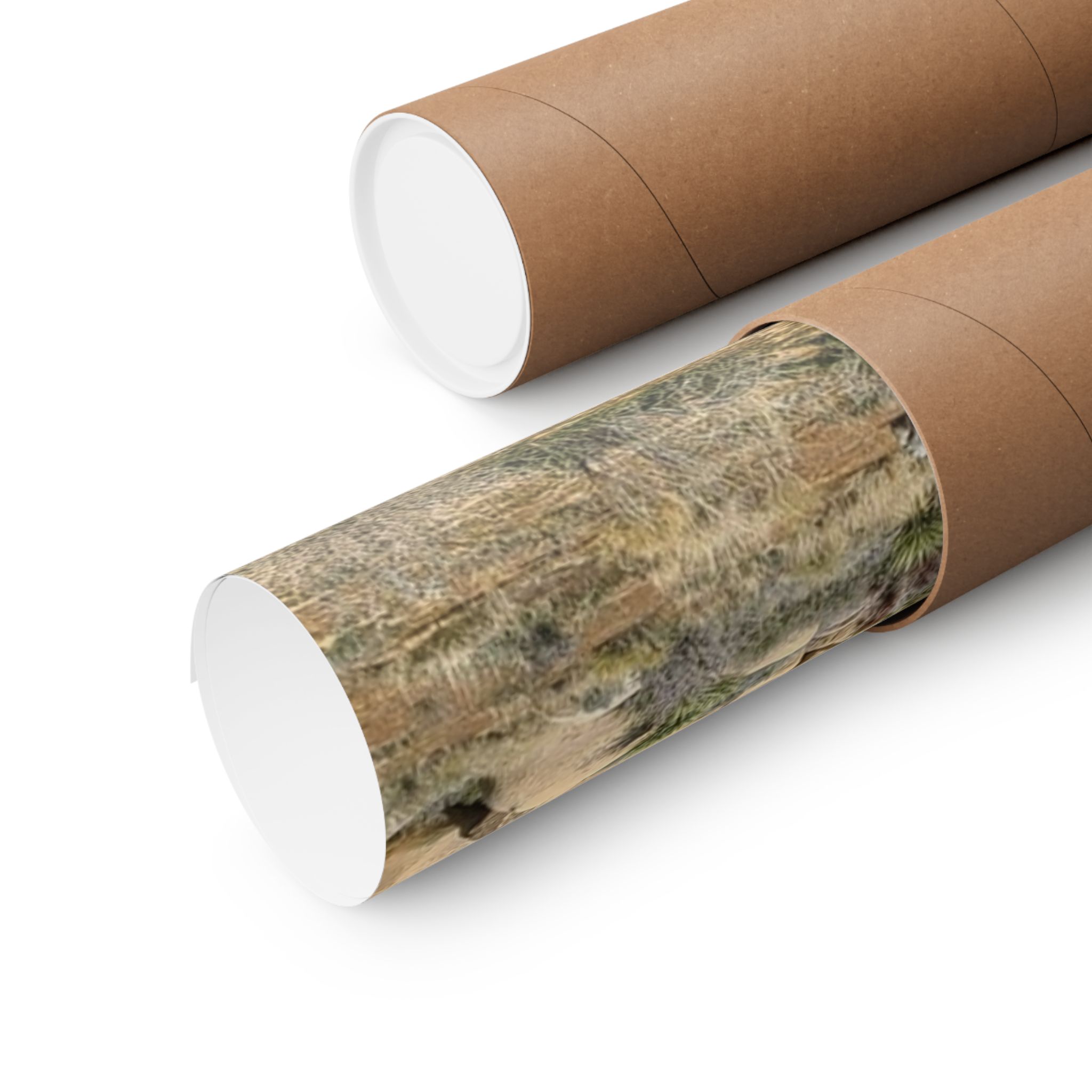 Desert Joshua Matte Vertical Poster - Southwest-Natural Landscape - Image 27