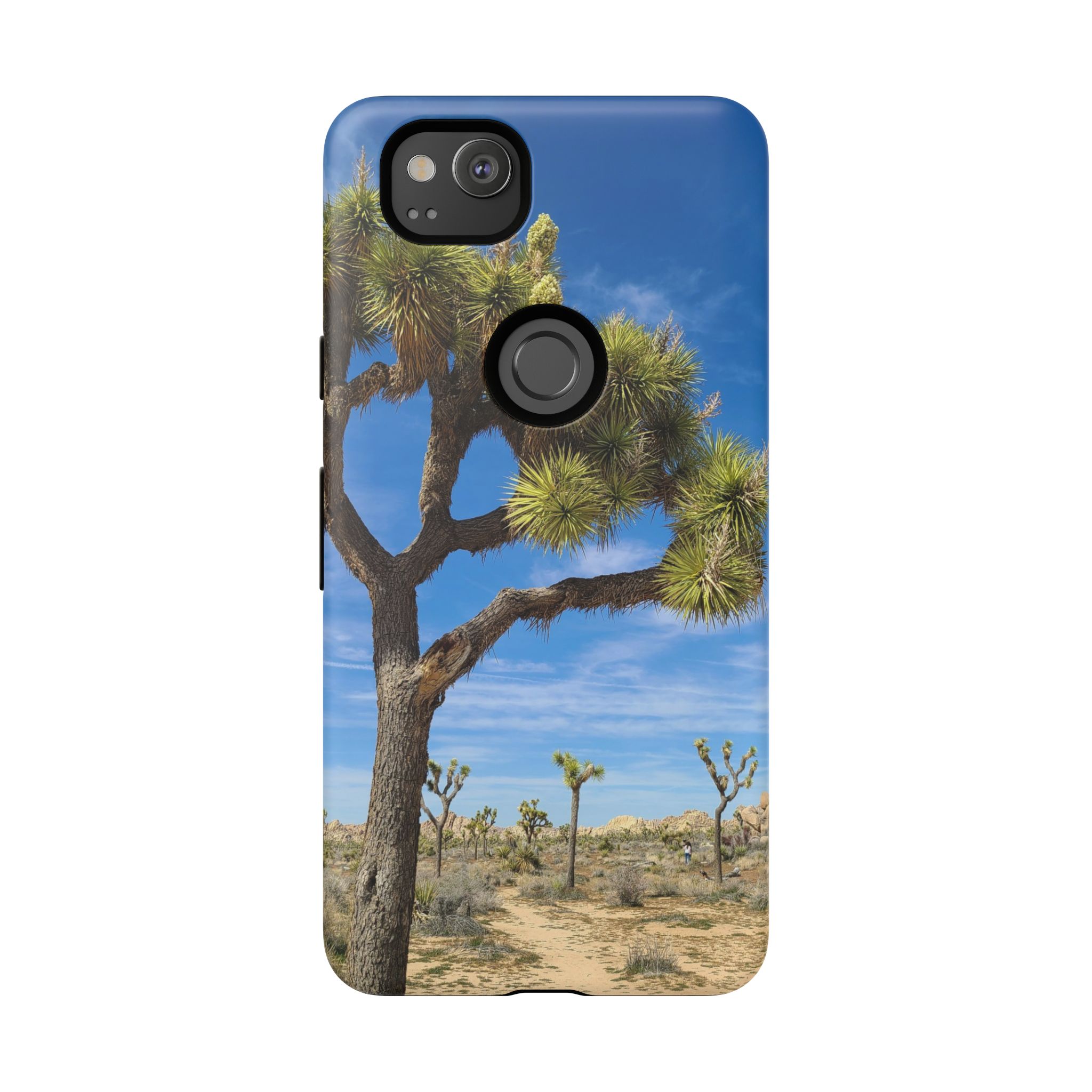 Desert Joshua Tough Case - Southwest-Natural Landscape - Image 174