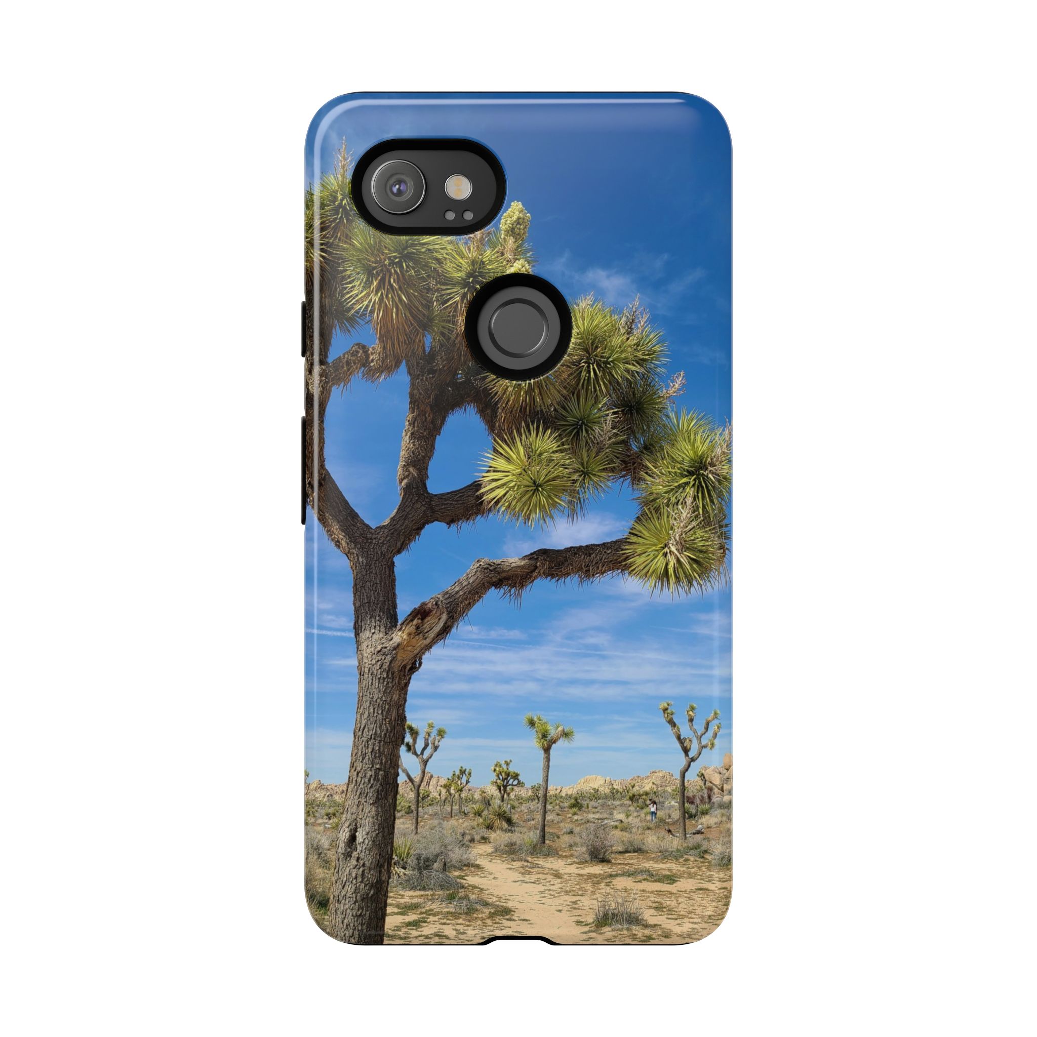 Desert Joshua Tough Case - Southwest-Natural Landscape - Image 177