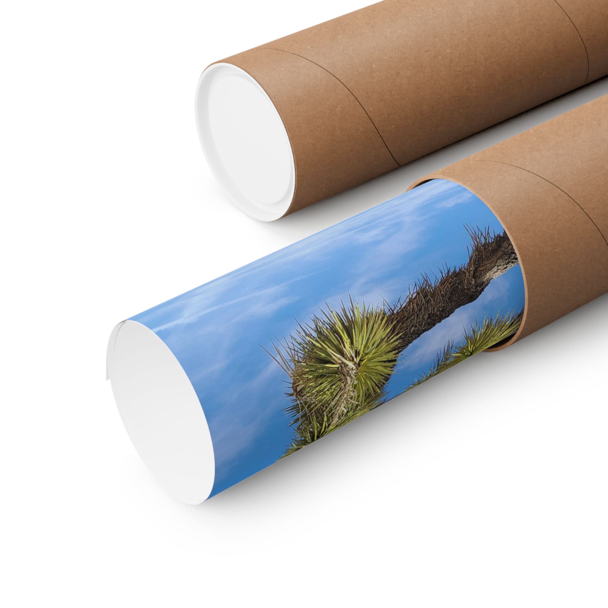 Desert Joshua Matte Vertical Poster - Southwest-Natural Landscape - Image 3